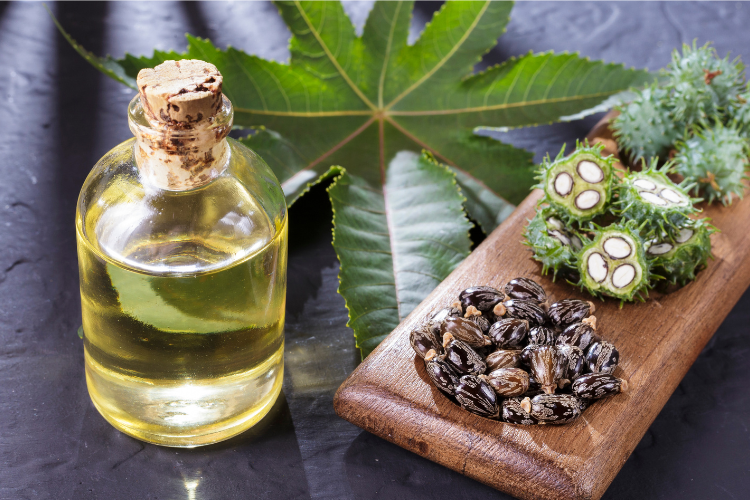 castor oil banner 1